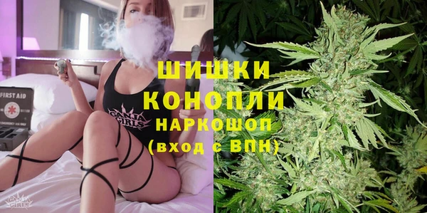 стафф Гусев
