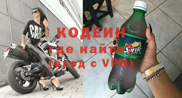 стафф Гусев
