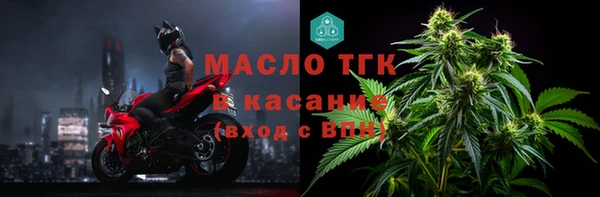 стафф Гусев