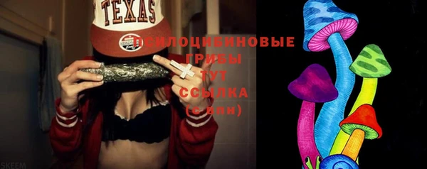 эйфоретик Гусиноозёрск