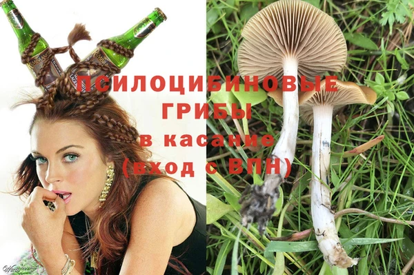 мескалин Гусь-Хрустальный