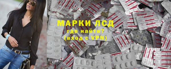 стафф Гусев