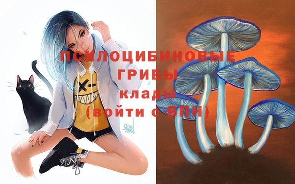стафф Гусев
