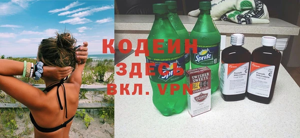 стафф Гусев