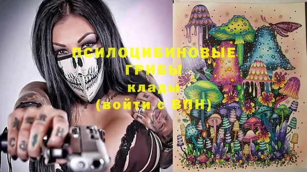 стафф Гусев