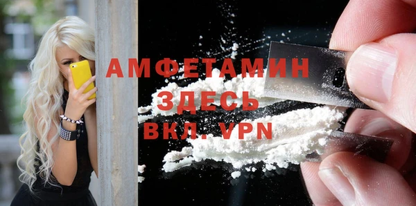 стафф Гусев