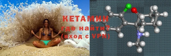 стафф Гусев