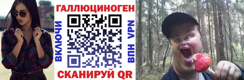 OMG рабочий сайт  Шацк  Галлюциногенные грибы Psilocybe  закладка 
