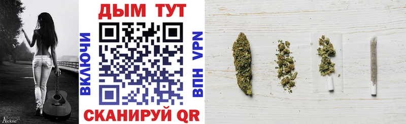 Бошки Шишки SATIVA & INDICA где можно купить Шацк